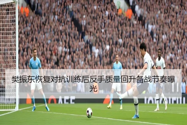 樊振东恢复对抗训练后反手质量回升备战节奏曝光